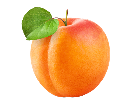 4.png