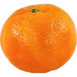 MANDARINE TARDIVO KG