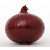 OIGNON ROUGE  LE KG