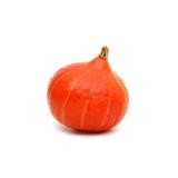 POTIMARRON ORANGE KG