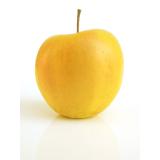 POMME GOLDEN KG