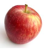POMME GALA KG