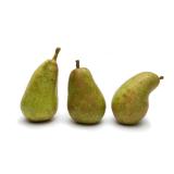 POIRE CONFERENCE KG