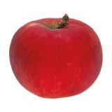 POMME SWING KG