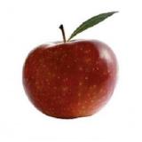 POMME STORY KG