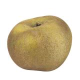 POMME PATTE DE LOUP