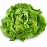 SALADE TOUTES VARIÉTÉS