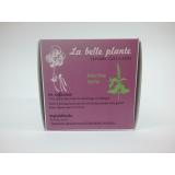 INFUSION MENTHE VERTE