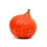 POTIMARRON OR,VERT LE KG