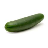 CONCOMBRE EPINEUX