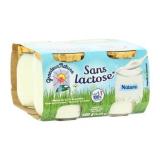 DESSERT DELACTOSE NATURE 4*125G