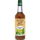 SIROP DE MENTHE 1L