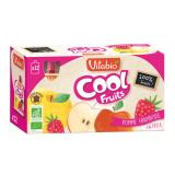 COOL FRUITS POMME FRAMBOISE ACEROLA X12
