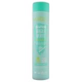 SHAMPOING ARGILE CH GRAS