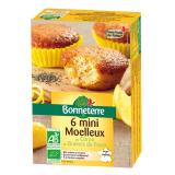 MINI MOEILLEUX CITRON PAVOT