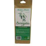 EUCALYPTUS FEUILLE