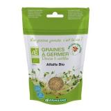 ALFALFA A GERMER