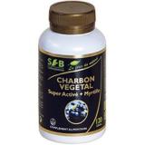CHARBON VEGETAL MYRTILLE