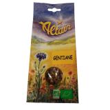 GENTIANE