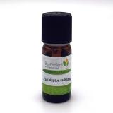 EUCALYPTUS RADIATA 10ML HE BONESCIENT