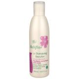 SHAMPOO,ANTICHUTE