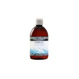 ARGENT COLLOIDAL 20PP 500ML