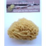 EPONGE DE MER NATURELLE