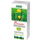 SUC DE PISSENLIT BIO