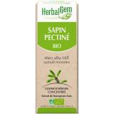 SAPIN PECT BIO