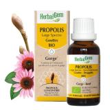 PROPOLIS EXT GOUTTES 15ML