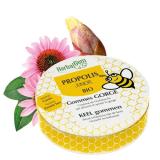 PROPOLIS 24 GOMMES JUNIOR