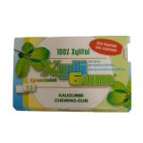 XYLI GUM MENTHE VERTE