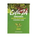 CHEWING GUM MENTHE