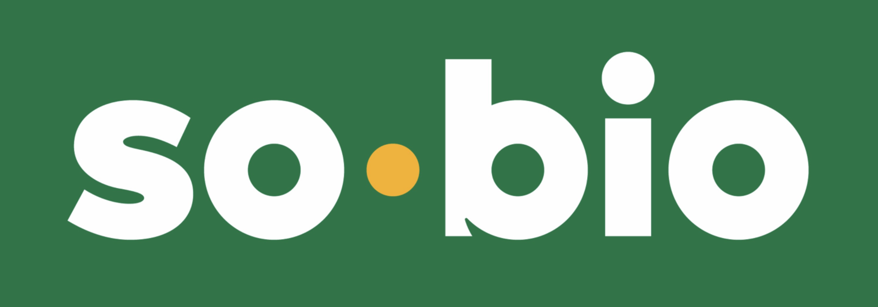 Logo Drive